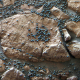 Illustration for article titled These images of Mars are just unspeakably gorgeous.